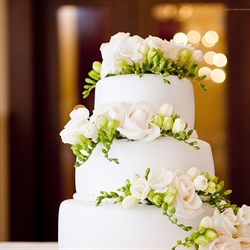 The best season for a wedding in Springfield, Illinois